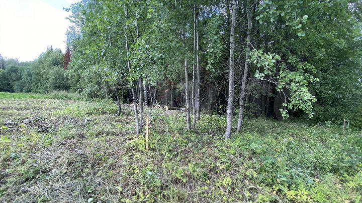 Участок 6,5 сот. (СНТ, ДНП)