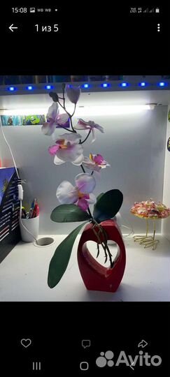 Подарок к дню влюбленных