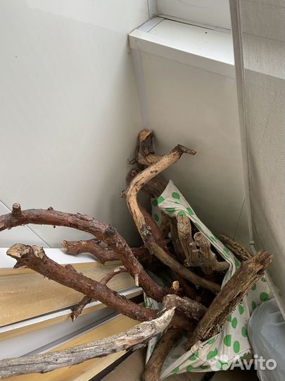 Сухоцветы шишки коряги кора береста