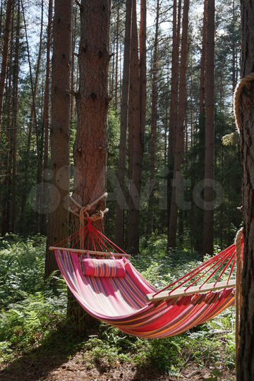 Дом 30 м² на участке 10 га