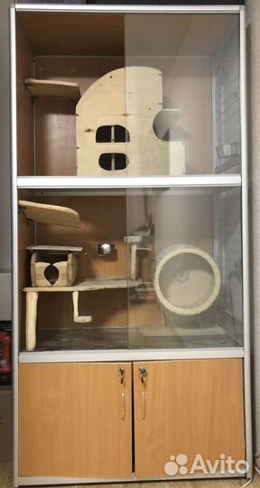 Шкаф витрина для шиншилл