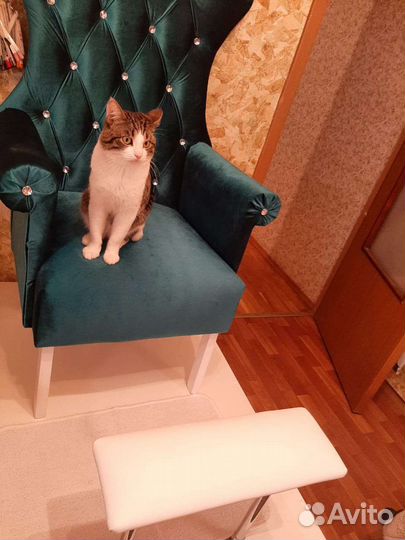 Кот для вязки бесплатно