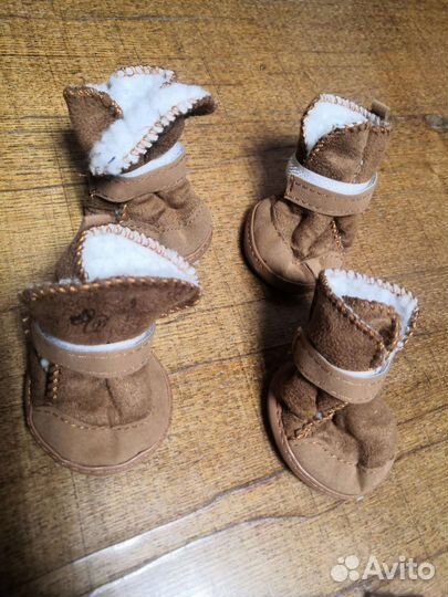 Ботинки и носки для собак