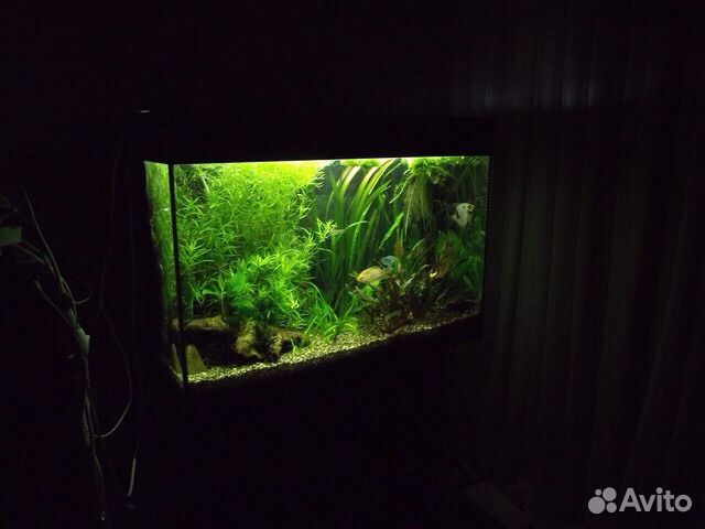 Продам террариум