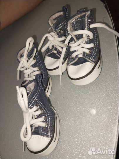 Кеды для собачки