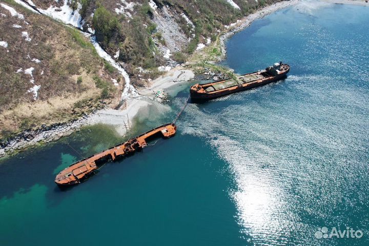 Камчатка морские прогулки/косатки/сивучи