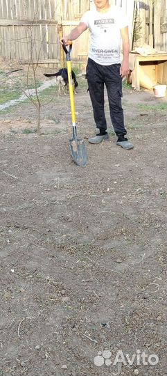 Землекопы разнорабочие