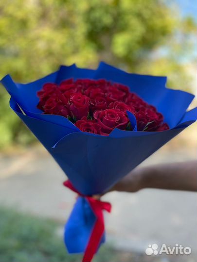 Роза 21/31/51/101