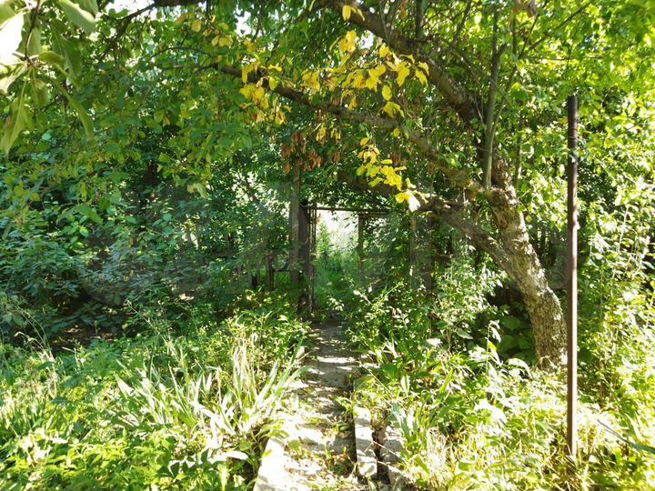 Дача 20 м² на участке 9,2 сот.