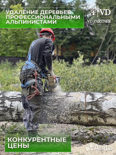 Спилить дерево на участке