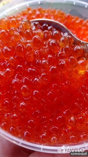 Красная икра Горбуши 2023 1 кг Доставка