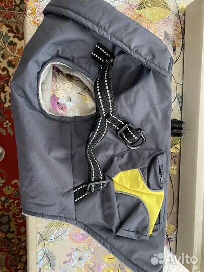 Одежда для собак