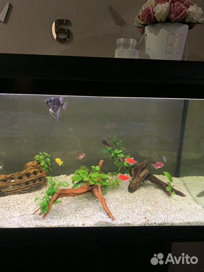 Аквариум с тумбой 160л