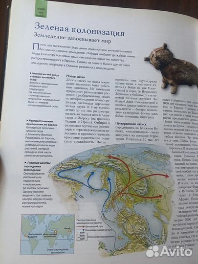 Иллюстрированный атлас эволюции