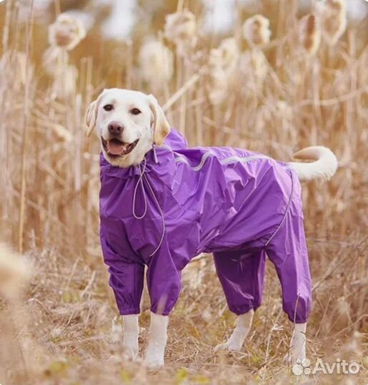 Дождевик для крупной собаки