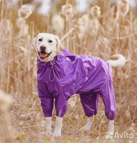 Дождевик для крупной собаки