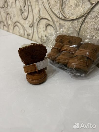 Сапоги для маленькой собаки