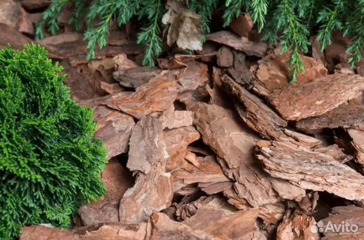 Кора-мульча сосны фракции 5-10 см (мешки 50 литров