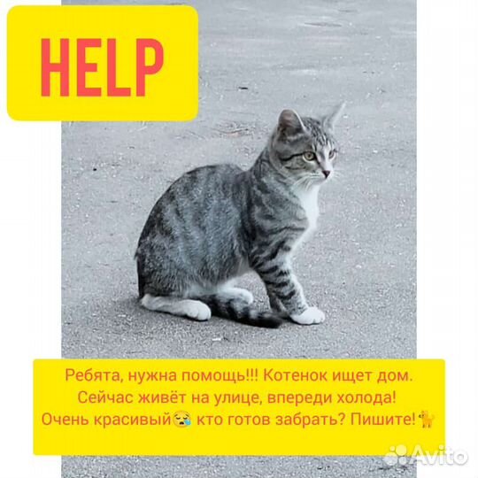 Всем кто любит животных