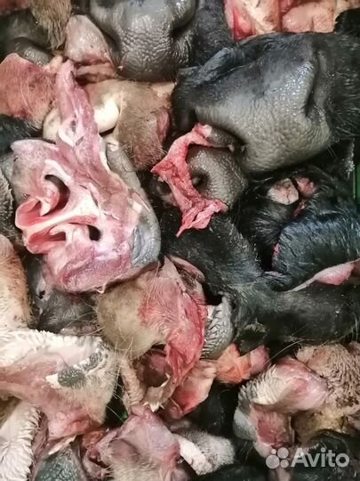 Носы говяжьи