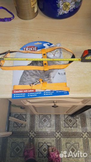 Шлейка для кошек или маленьких собак