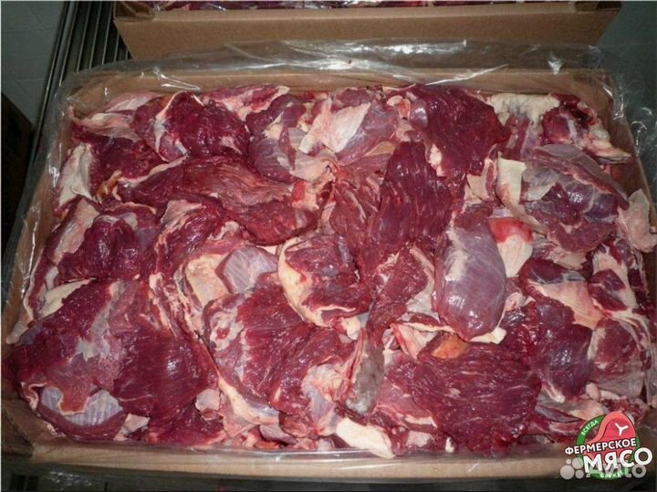 Мясо для собак