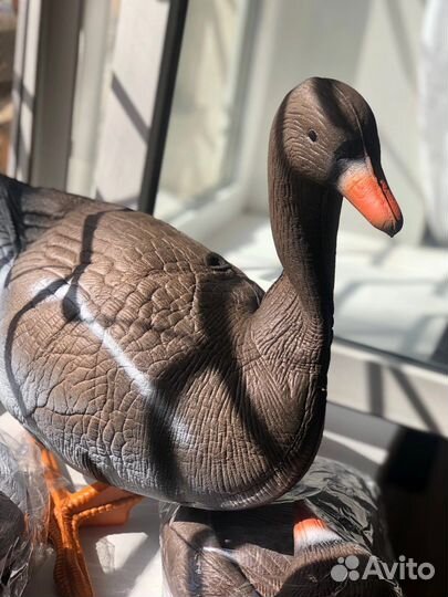 Профиля гусей (3D)