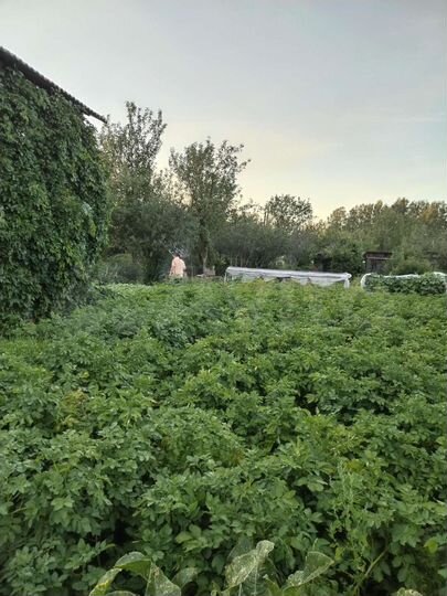 Дача 18 м² на участке 6 сот.