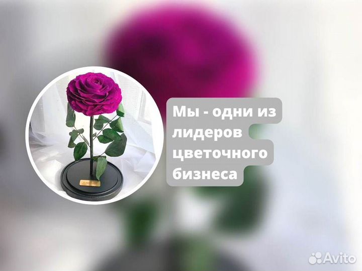 Вечная роза в колбе