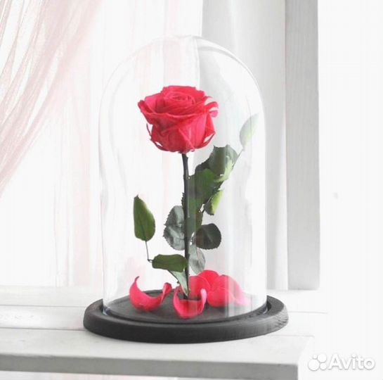 Розы в колбе разные