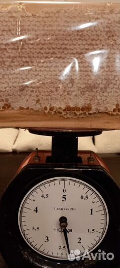 Рамка меда в сотах