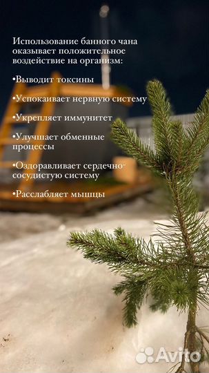 Парение в банном чане