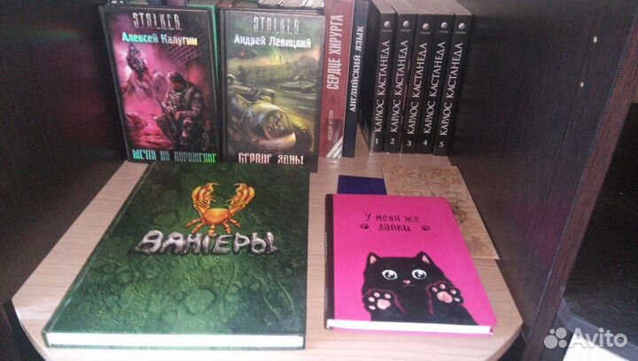 Карлос Кастанеда 5 книг