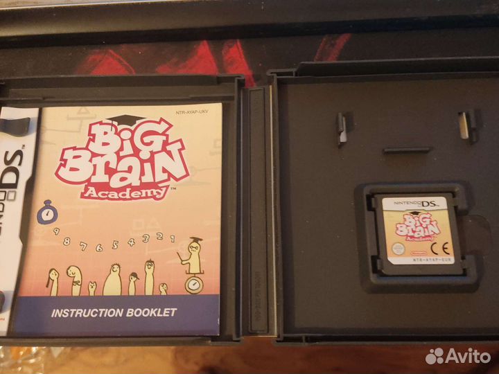 Big brain academy ds