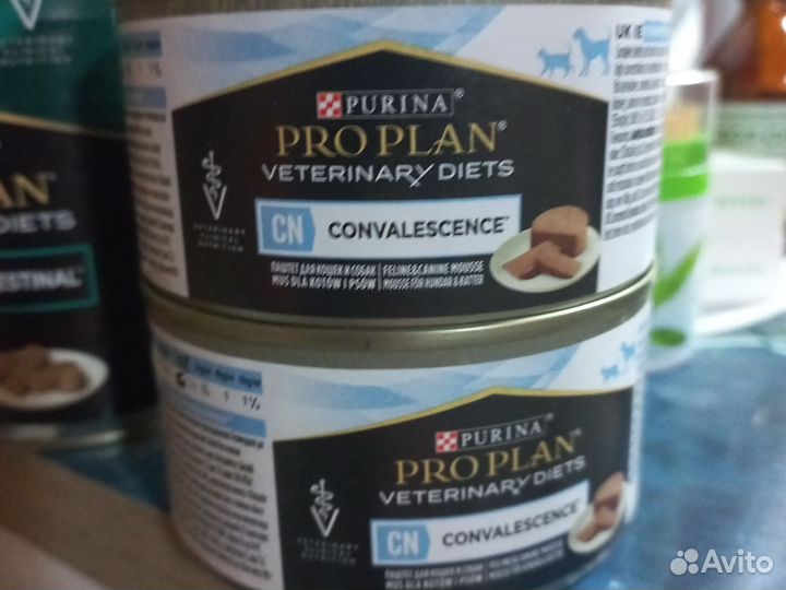 Корм для собак