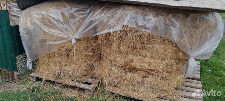 Сено люцерны в тюках