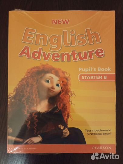 New English Adventure starter В