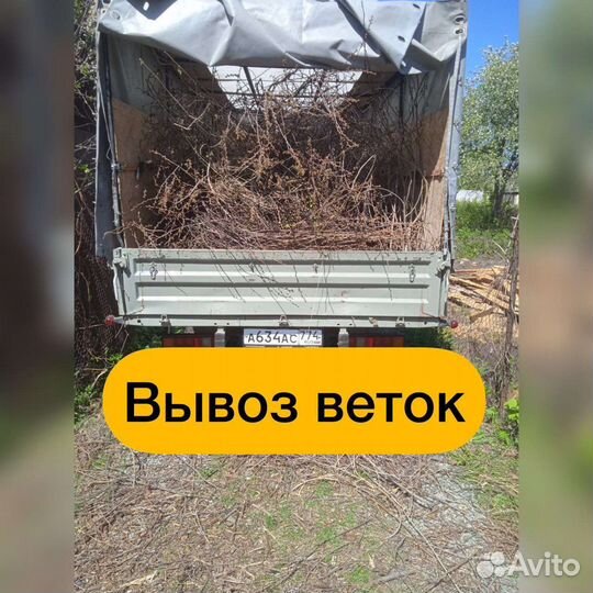 Вывоз мусора/грузчики