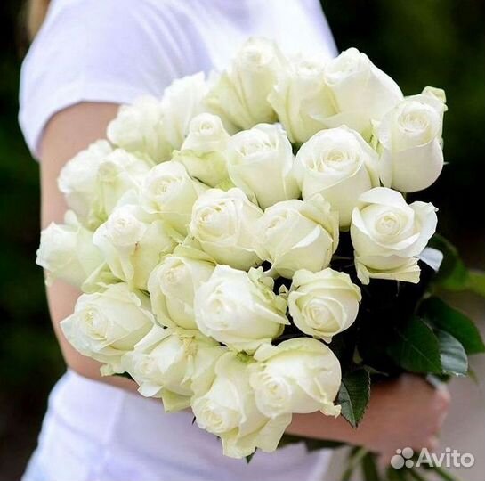 Высокие розы 150 160 170 180 190см доставка Москва