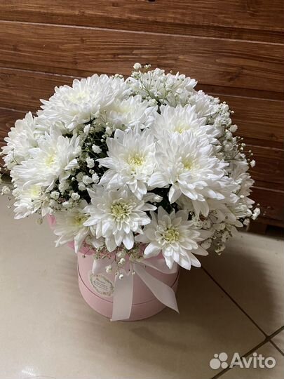 Хризантема букет цветы