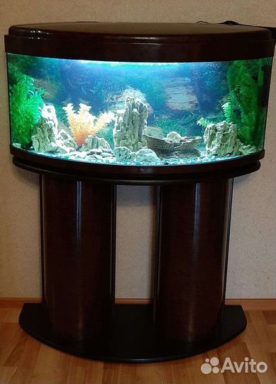 Аквариум (Панорама, с тумбой)