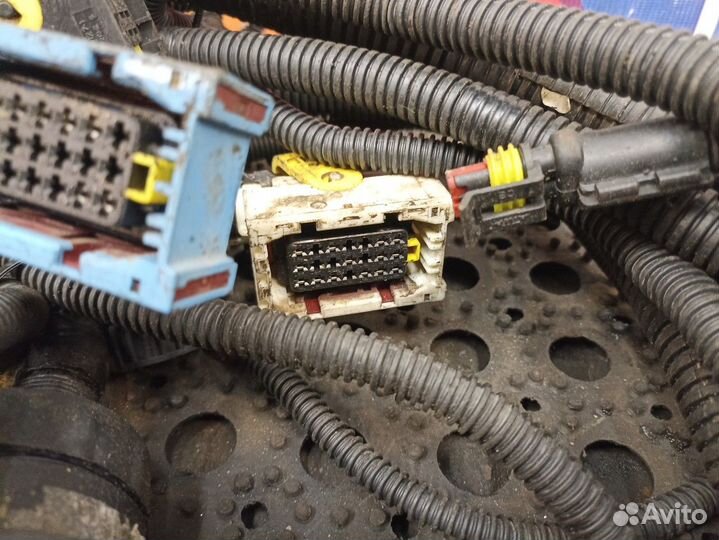 Проводка мультиплексного узла камаз 5490