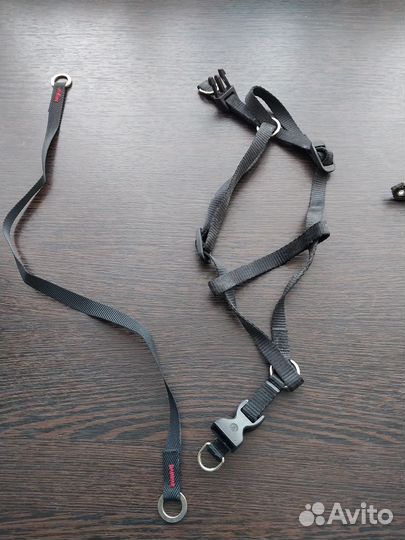 Шлейка и ошейник для мелких пород собак