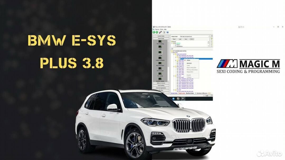 E sys bmw настройка