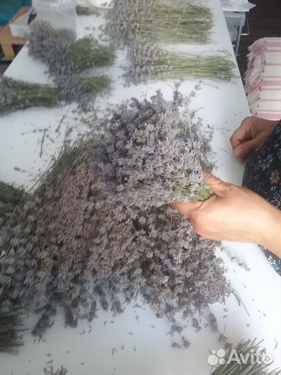 Лавандовый чай