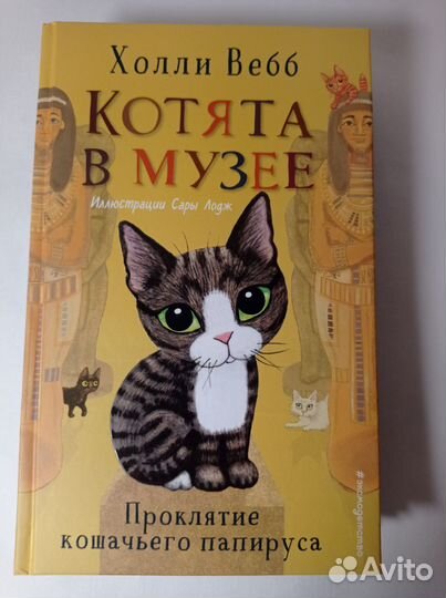 Котята в музее