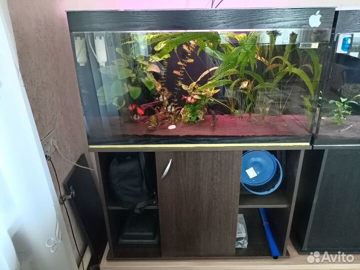 Аквариум 200л