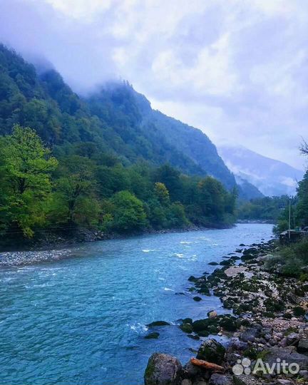 Тур Экскурсия в Абхазию