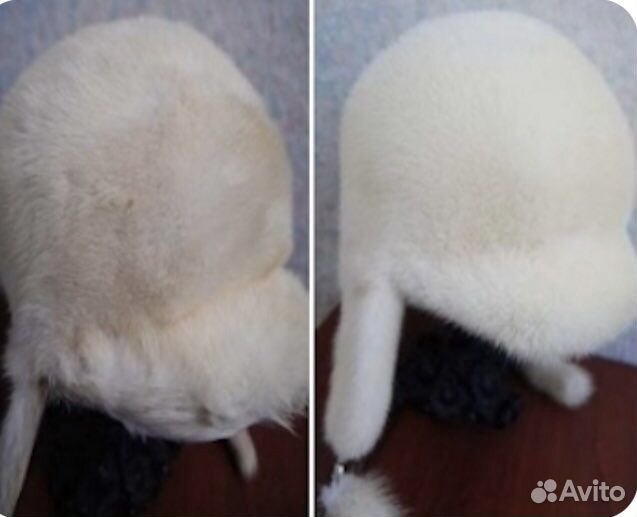 Химчистка шуб биочистка