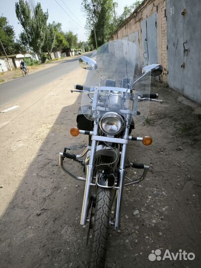 Suzuki vs-800 intruder